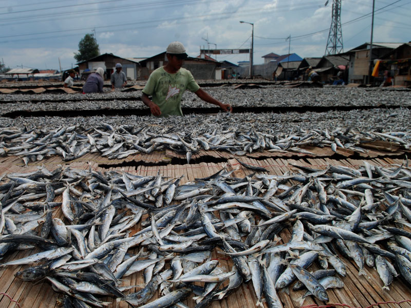 PENGAWETAN IKAN ASIN DOWNLOAD PENGAWETAN IKAN ASIN DOWNLOAD